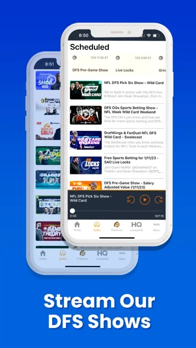Daily Fantasy Sports screenshot 5
