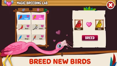 Bird Land Paradise: зоомагазин screenshot 2