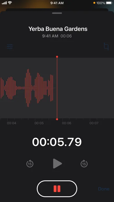 Диктофон screenshot 3