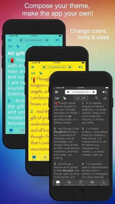 Biblia Reina Valera Audio screenshot 4
