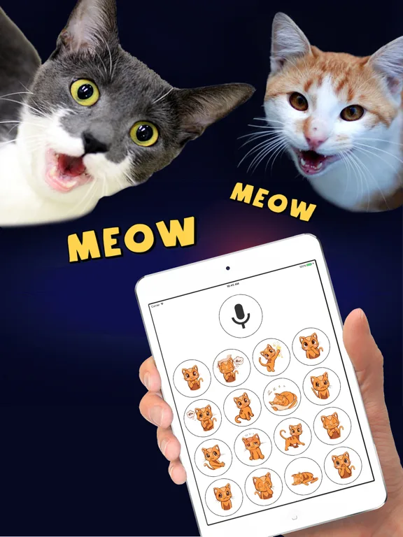 Кошачий Переводчик - Команды screenshot 4