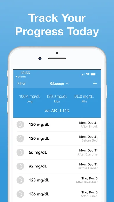 Diabetes Log screenshot 5