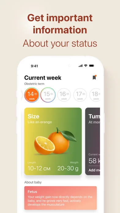 Календар вагітності－Вагітність screenshot 2