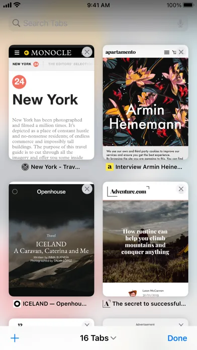 Safari screenshot 2