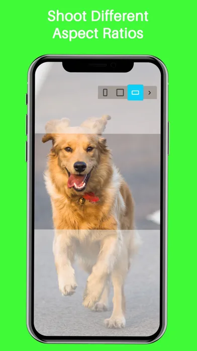 HT Add Animate-d Word-s To Gif screenshot 5