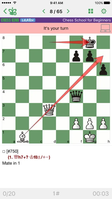 Chess School for Beginners screenshot 1