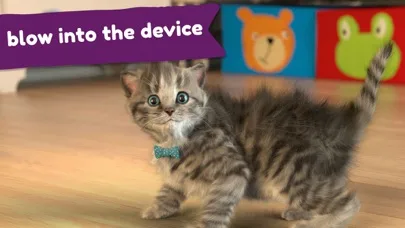 Маленький Котенок: Моя Кошечка screenshot 5