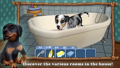 DogWorld - мой щенок screenshot 5