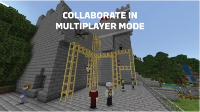 Minecraft Education screenshot 4