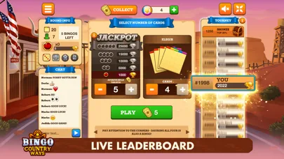 Bingo Country Ways screenshot 3