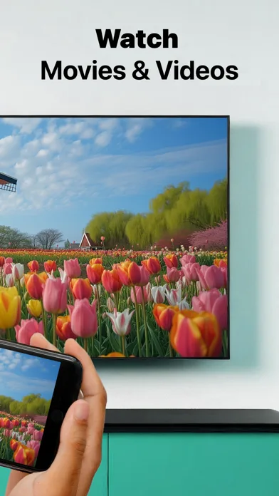 LG TV Screen Mirroring Cast screenshot 2