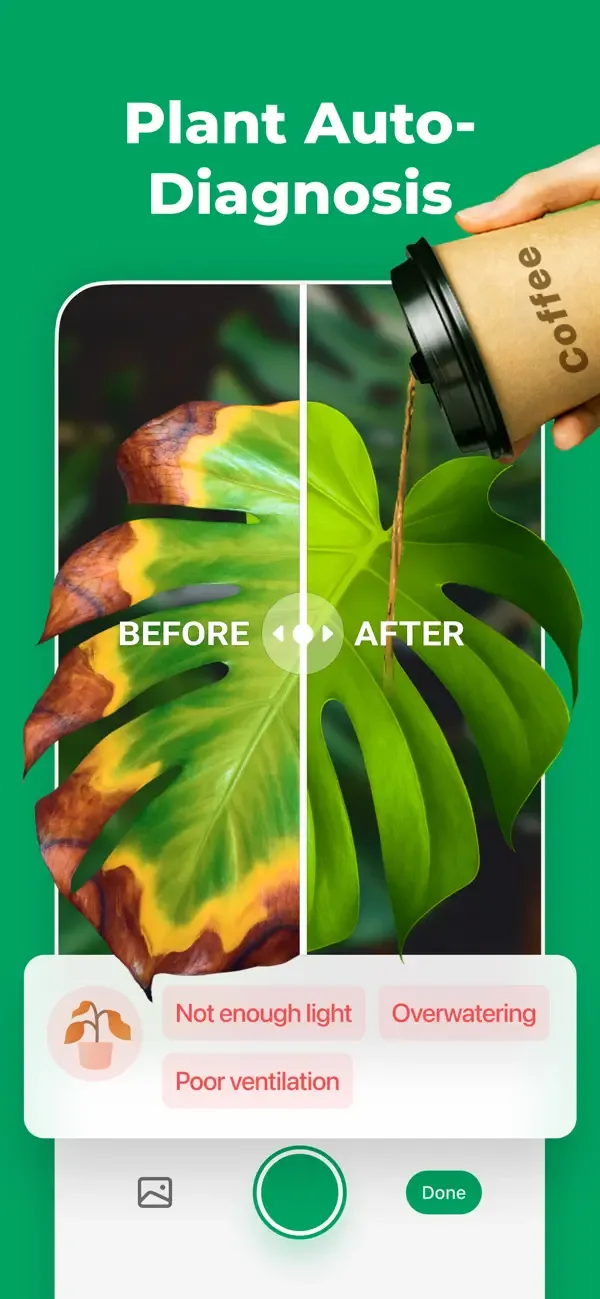 PictureThis - Guía de plantas screenshot 2