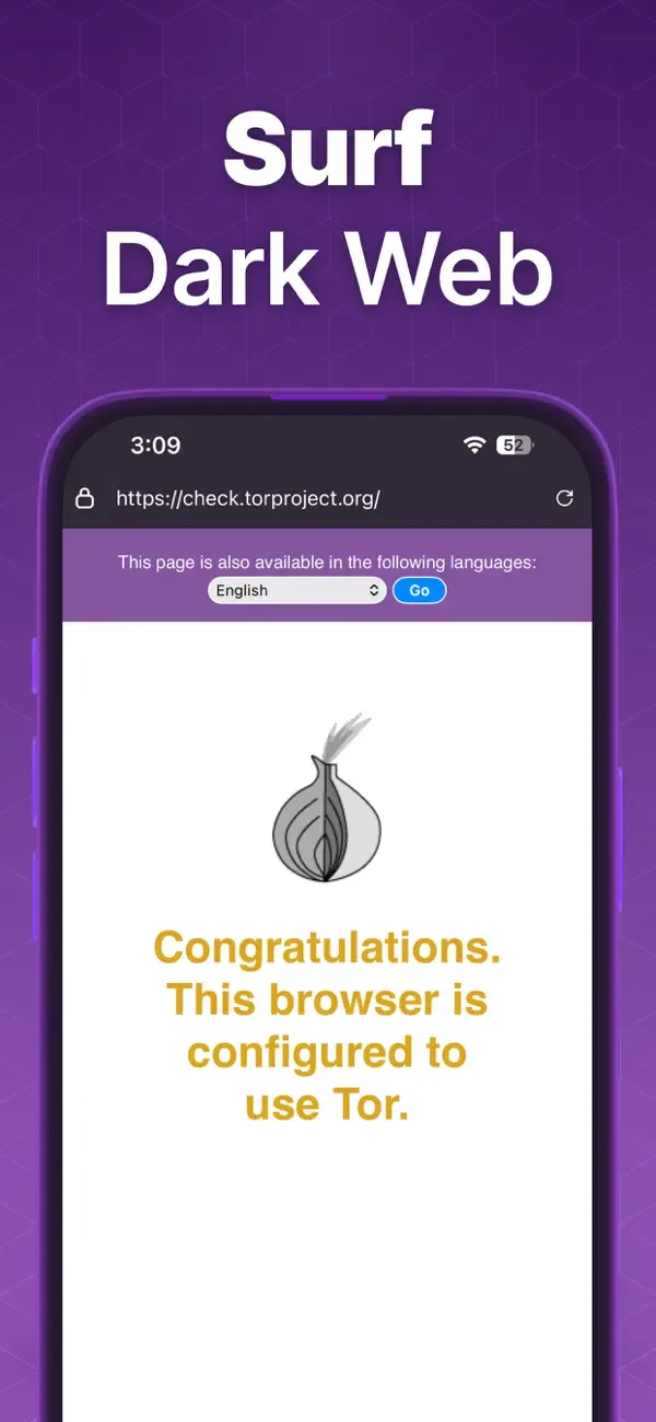 TOR Navegador - Incognito Web screenshot 2