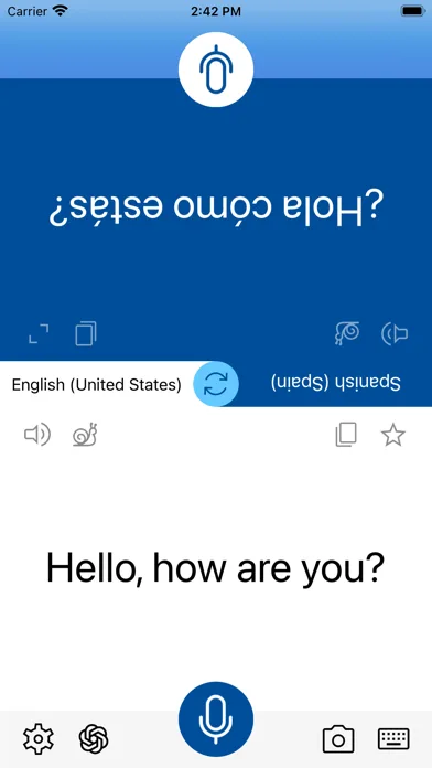 Мгновенный перевод речи screenshot 1