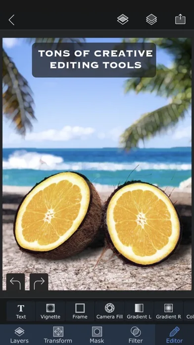 Superimpose X screenshot 3