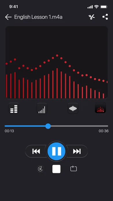 Voice recorder - Voz screenshot 1