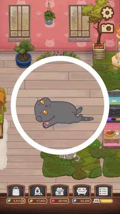Furistas Кошачье кафе screenshot 4