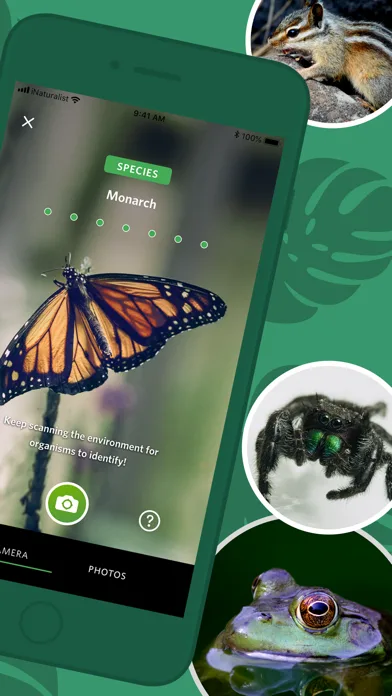Seek фирмы iNaturalist screenshot 2