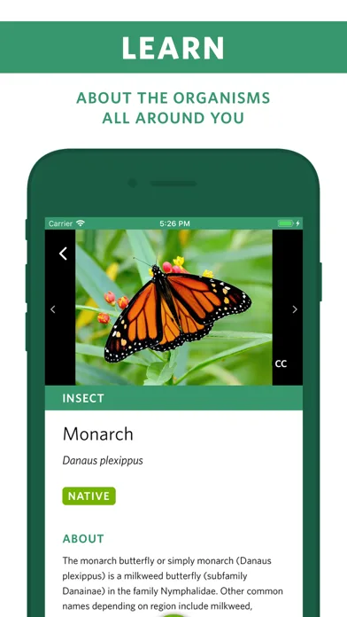 Seek фирмы iNaturalist screenshot 3