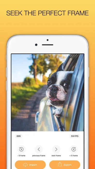 Frame Grabber: Video to photo screenshot 1