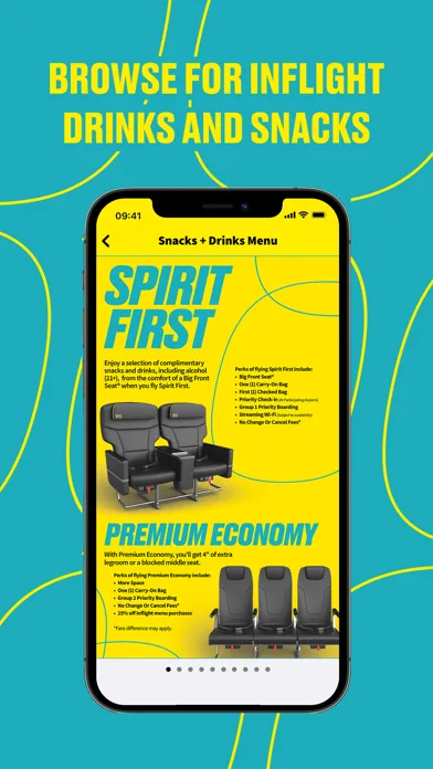 Spirit Airlines screenshot 2