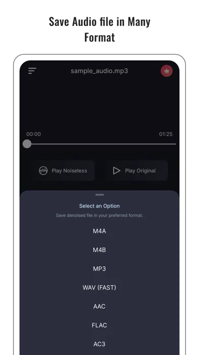 Reductor de ruido de audio screenshot 4