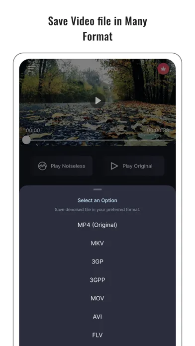 Reductor de ruido de audio screenshot 5