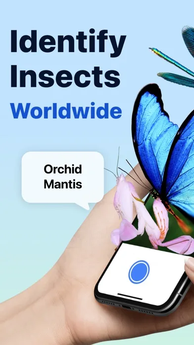 Picture Insect: идентификация screenshot 1