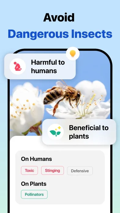 Picture Insect: идентификация screenshot 3
