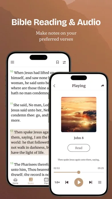 Biblia Reina Valera con Audio screenshot 4