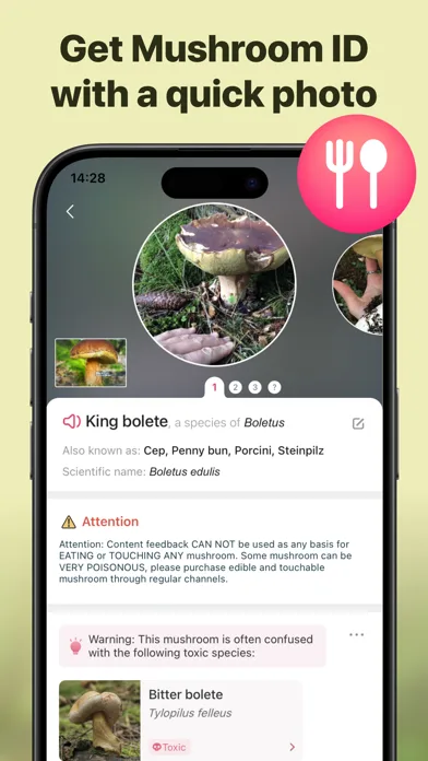 Picture Mushroom - Mushroom ID screenshot 2