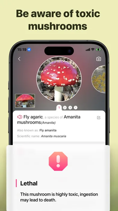 Picture Mushroom - Mushroom ID screenshot 3