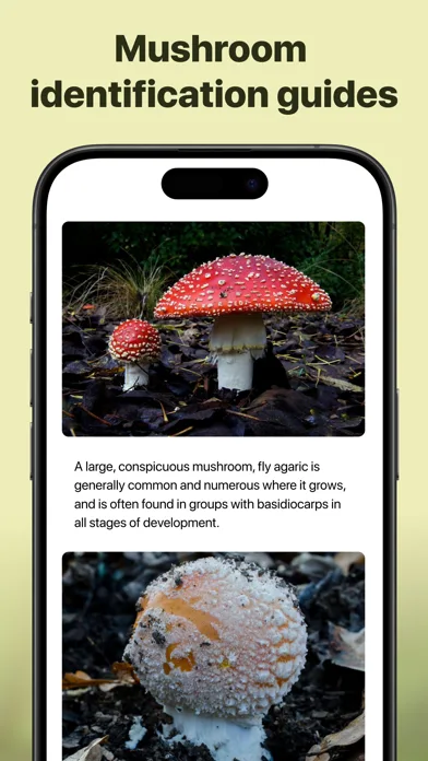 Picture Mushroom - Mushroom ID screenshot 4