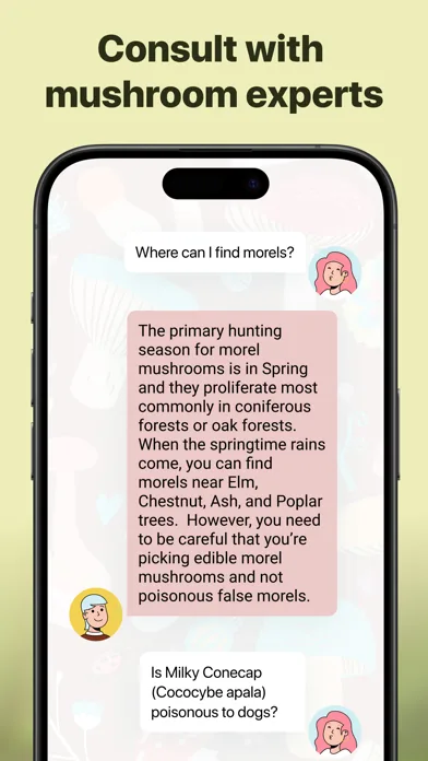 Picture Mushroom - Mushroom ID screenshot 5