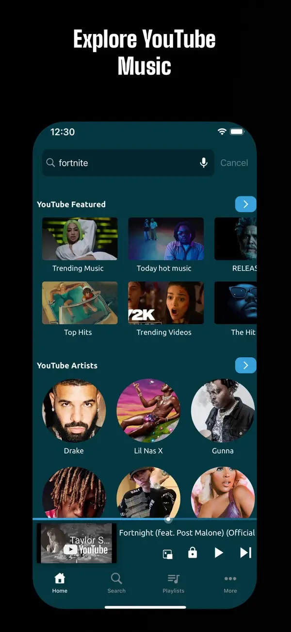 Online Música y Video Player screenshot 3