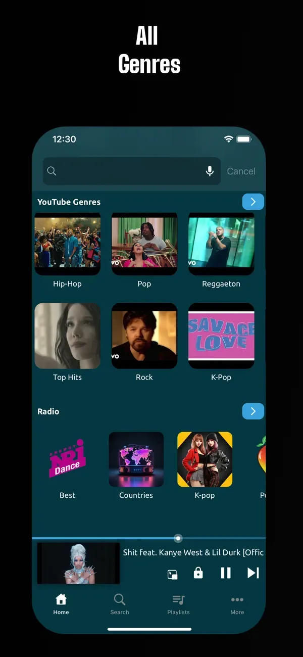 Online Música y Video Player screenshot 4
