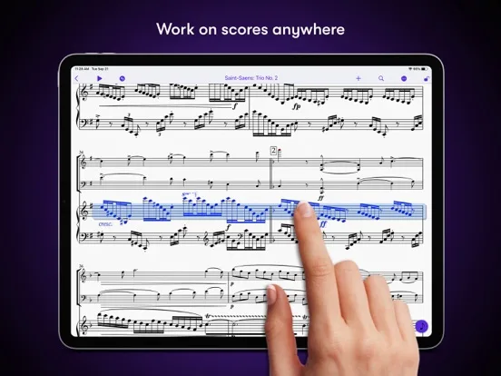 Sibelius screenshot 5