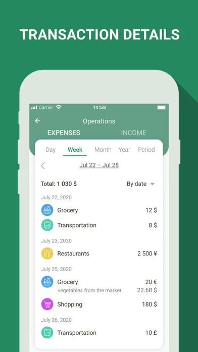 Money manager, expense tracker screenshot 3