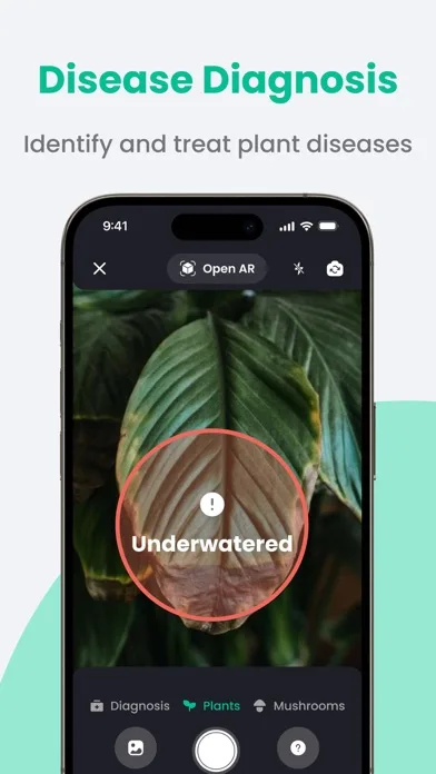 PlantIn: Розпізнавання рослин screenshot 2