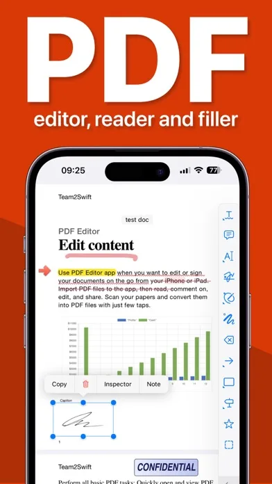 PDF screenshot 1