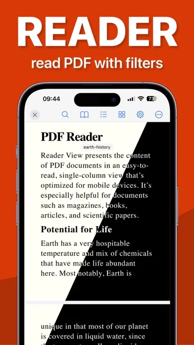 PDF screenshot 3