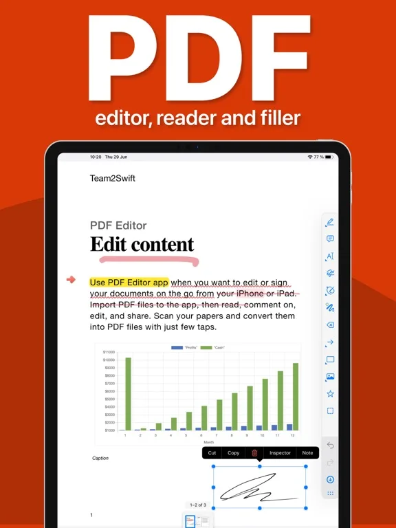 PDF screenshot 5