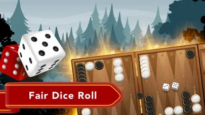 Back Gammon / Backgammon screenshot 4