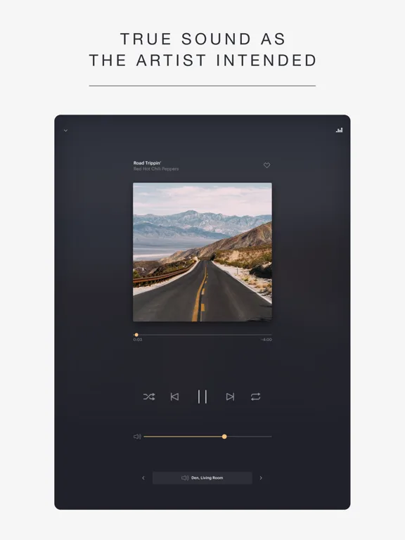 Music | Bowers & Wilkins screenshot 5