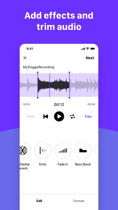 Аудио редактор и mp3 конвертер screenshot 3