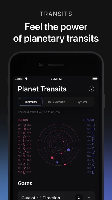 Human Design: Дизайн человека screenshot 4