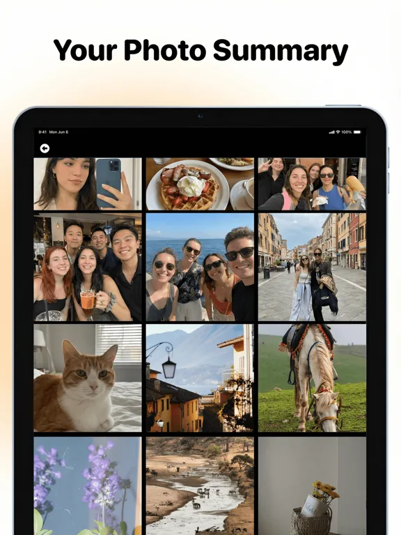 Swipewipe: Limpiador de Fotos screenshot 4