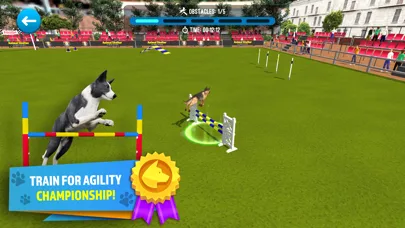 Animal Shelter Simulator screenshot 5