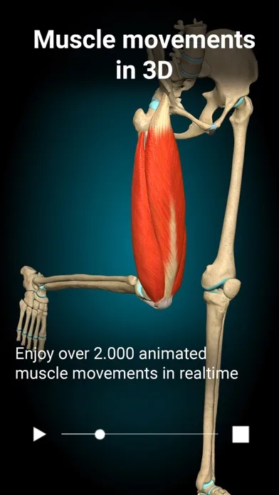 Anatomy Learning - Anatomía 3D screenshot 1