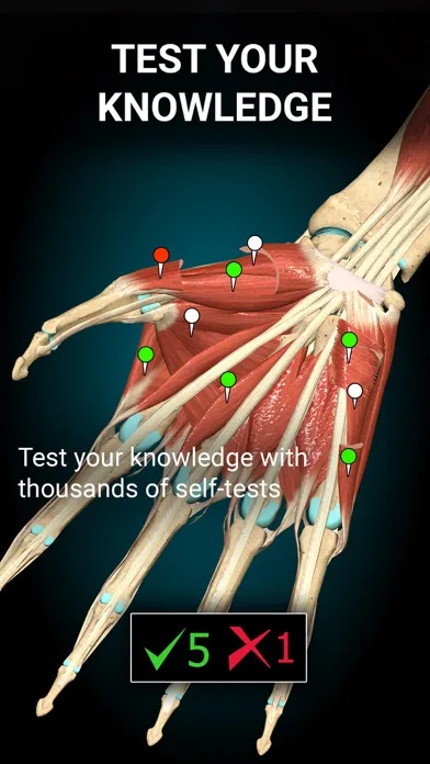 Anatomy Learning - Anatomía 3D screenshot 2